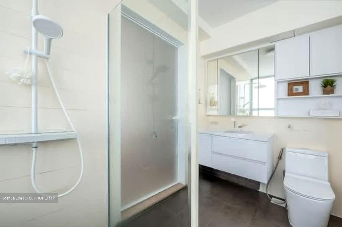 Blk 273A Natura Loft (Bishan), HDB 4 Rooms #586725961
